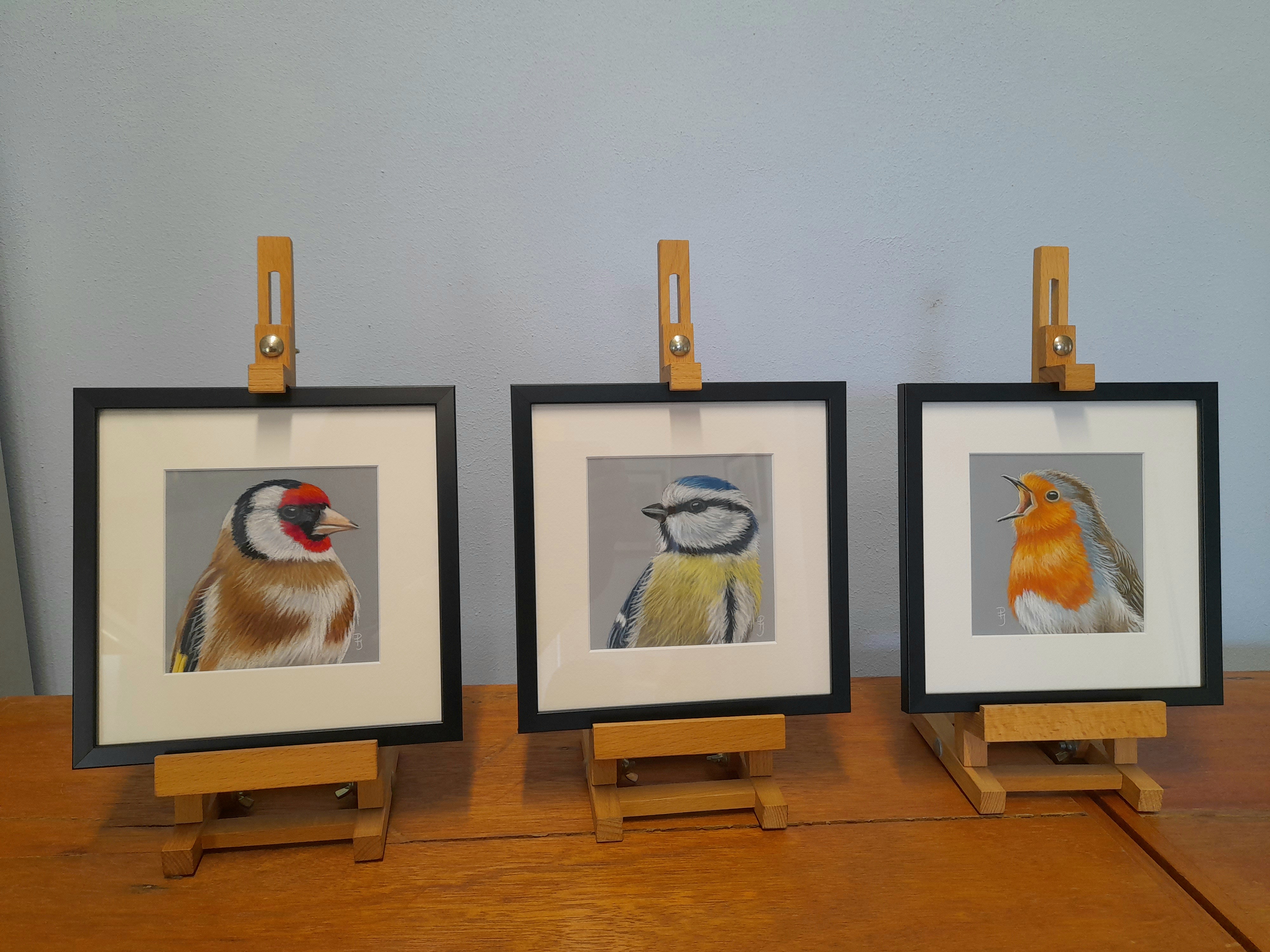 schilderij pimpelmees roodborstje puttertje