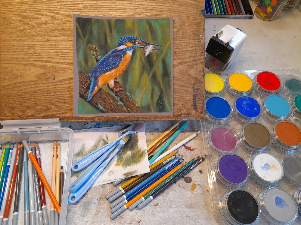 pastelkrijt dierenschilderij ijsvogel