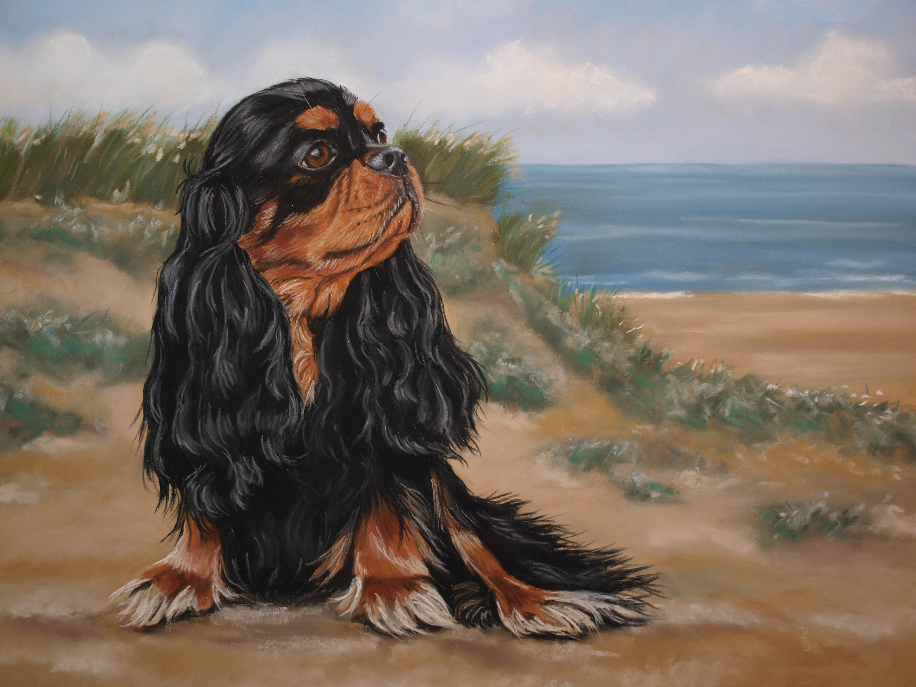 schilderij king charles spaniel