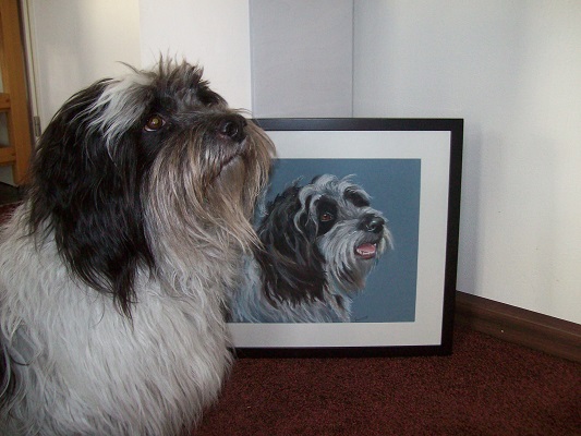 schilderij hond in opdracht hondenschilderij