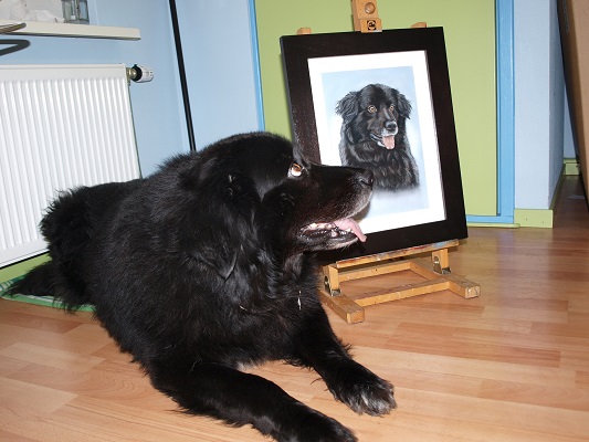 schilderij hond in opdracht hondenschilderij