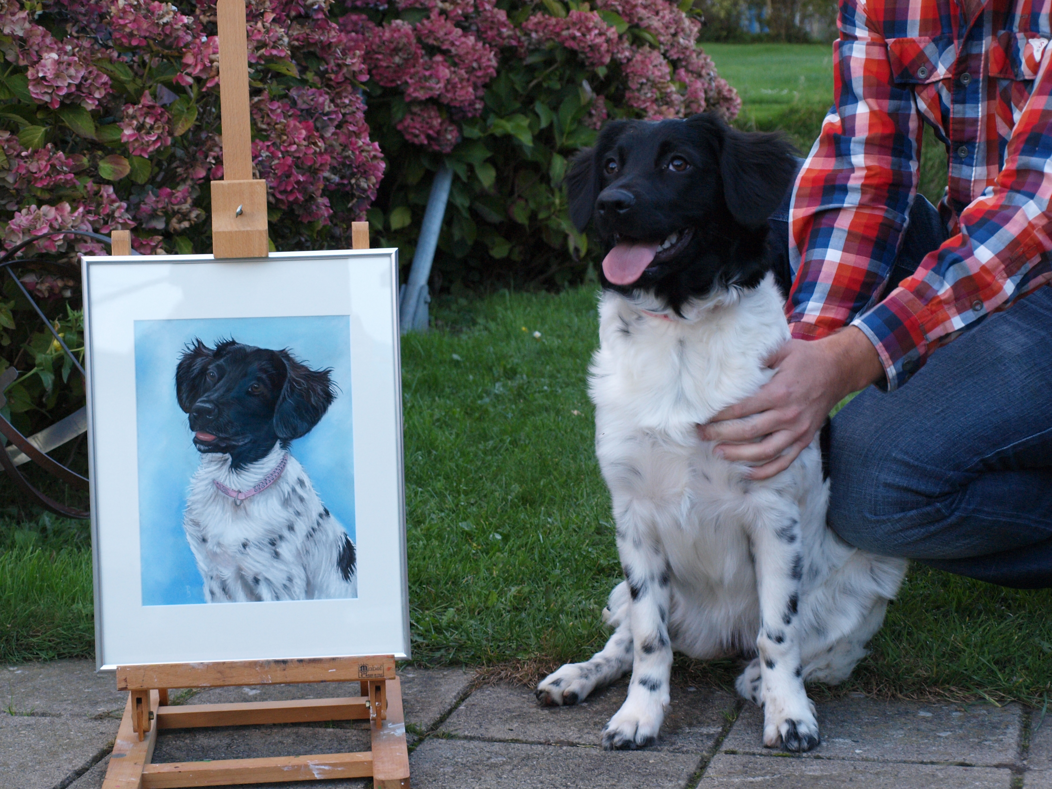 schilderij hond in opdracht hondenschilderij