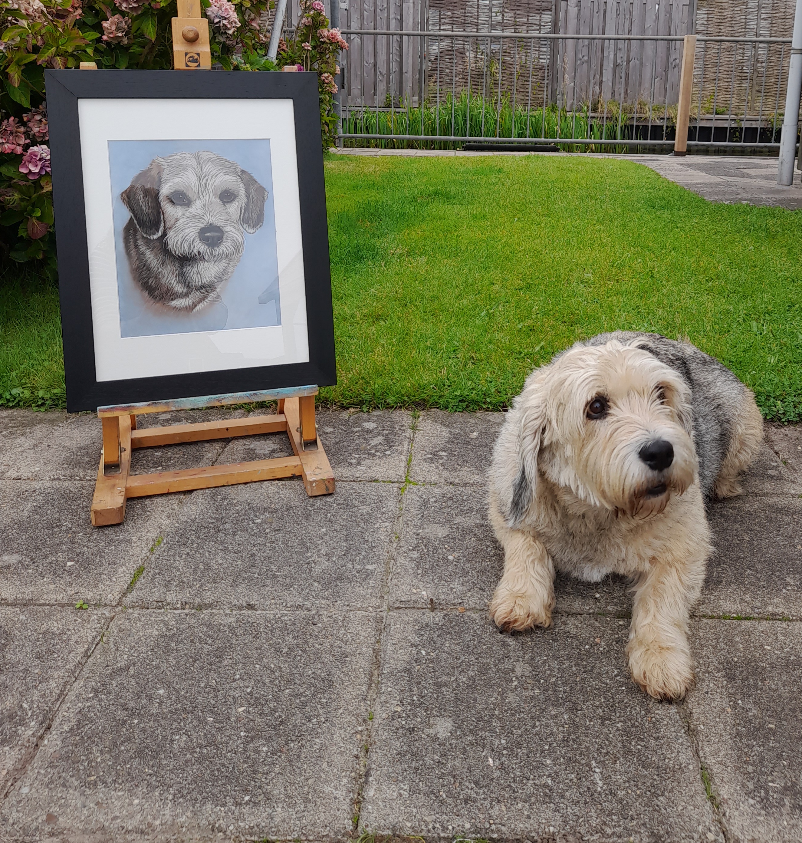 schilderij hond in opdracht hondenschilderij